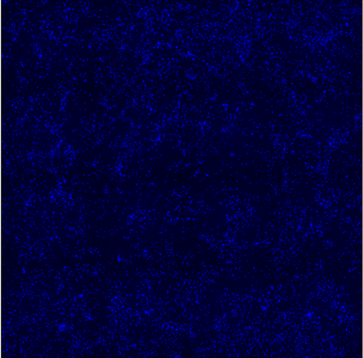 Great Hoechst 33342 Solution for Live Cell Staining